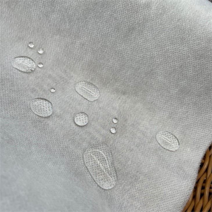 25-60GSM PP Polypropylene Spunbond Ss TNT Fabric /Non Woven Fabric/ Non-Woven Fabric