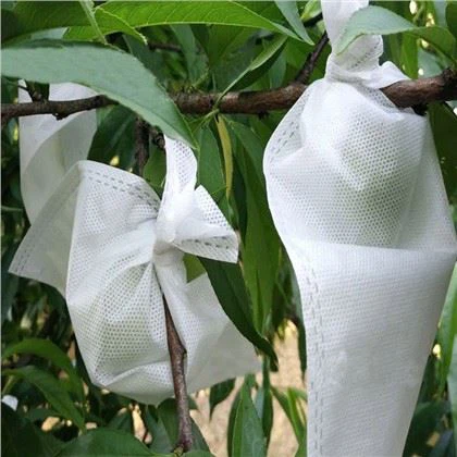 Túi bảo vệ trái cây không dệt