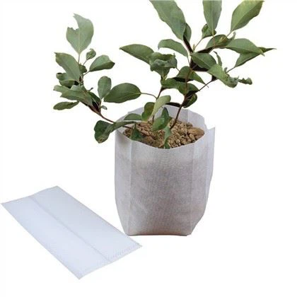 Túi vườn ươm không dệt