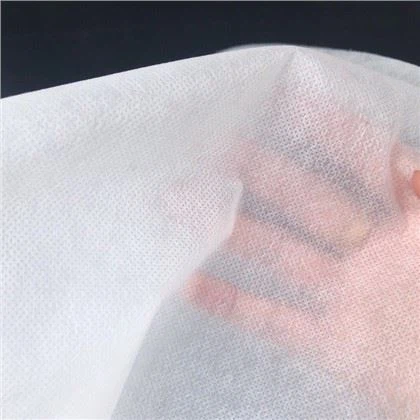 Pla Spunbonded Vải không dệt